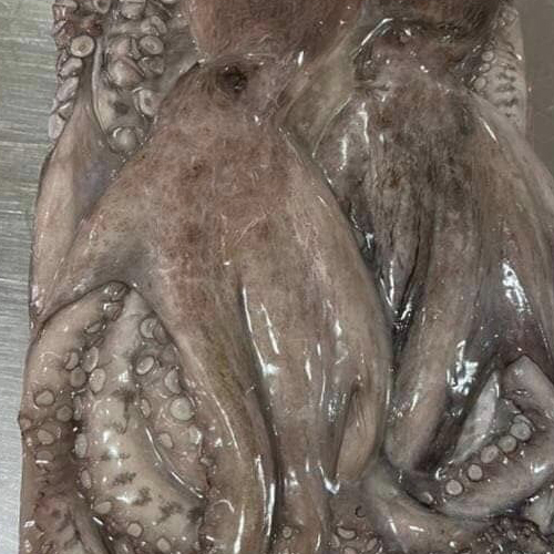 Frozen Octopus Supplier